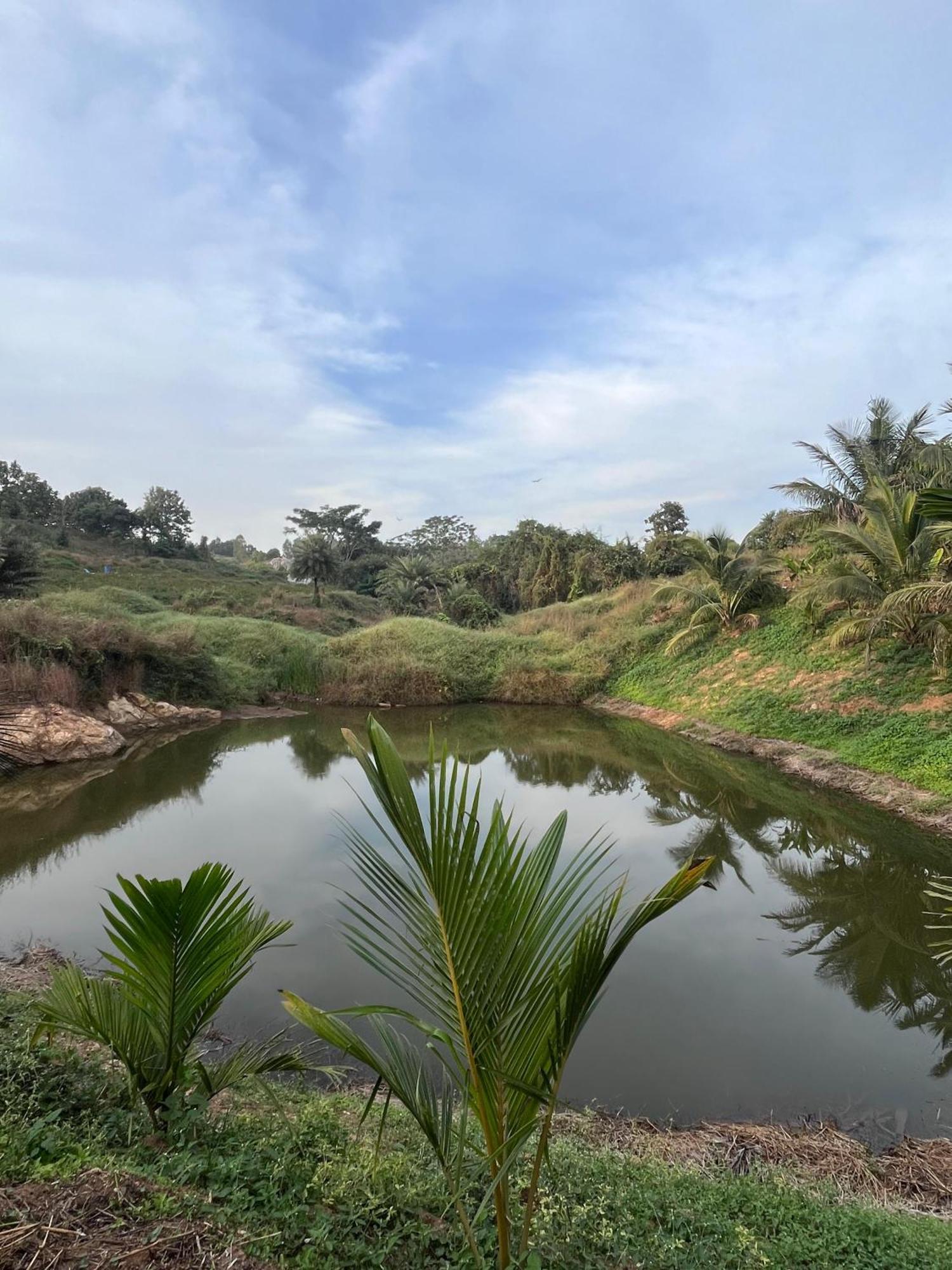 Gandhadagudi Nature Retreat Bangalore Exterior photo